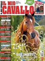 Il mio Cavallo